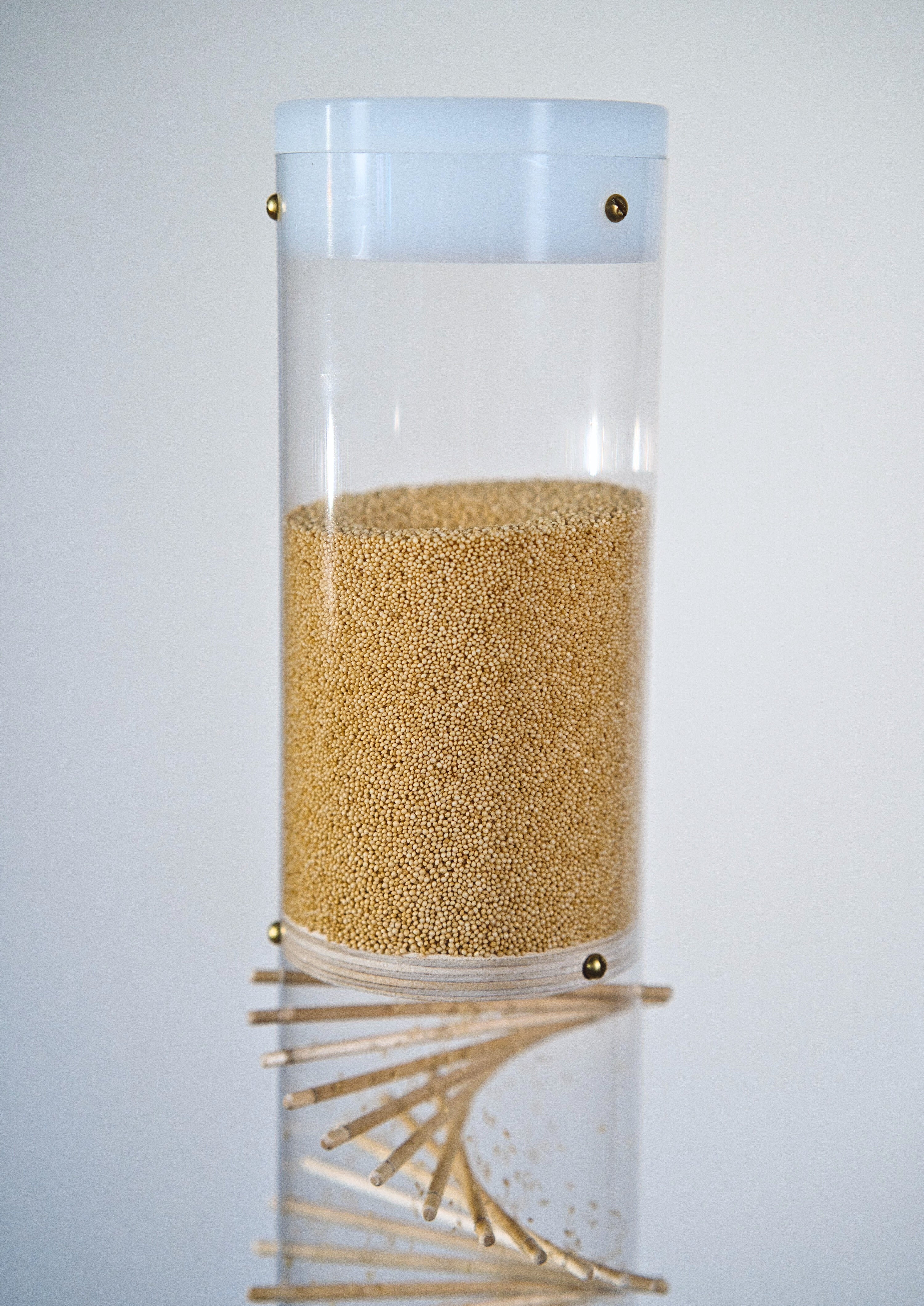 Midway Spiral Sounds® Rainstick – Amaranth – Gentle Sound — image 6