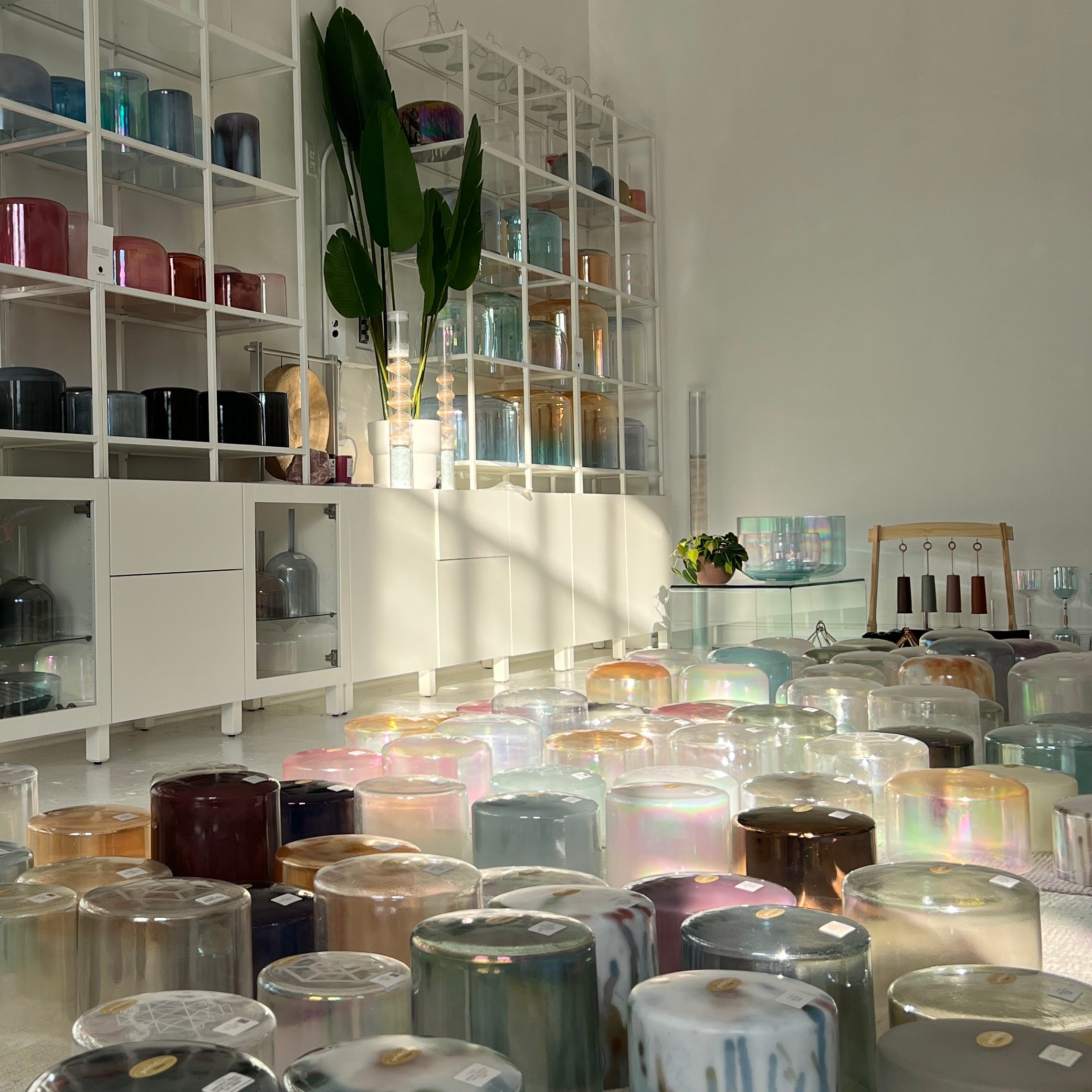 The Momentum Collection