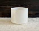 8" D0 Palladium Crystal Tones® Alchemy Singing Bowl