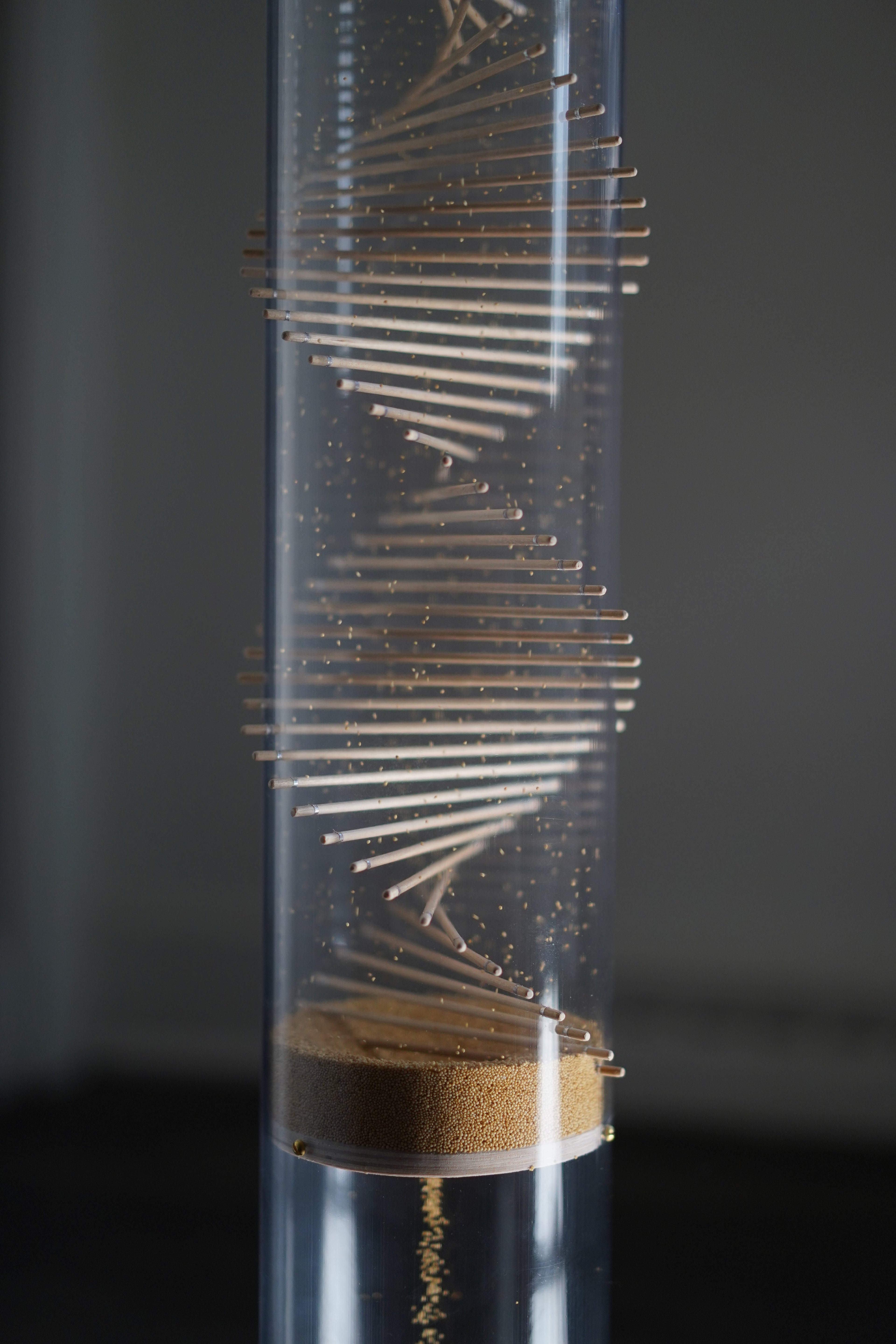 Extra Large Spiral Sounds® Rainstick – Amaranth – Gentle Sound — image 12