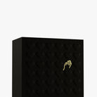 Close-up of the Arcana Cordis box
