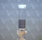 Small Spiral Sounds® Rainstick – Poppy Seed – Softest Sound — image 4