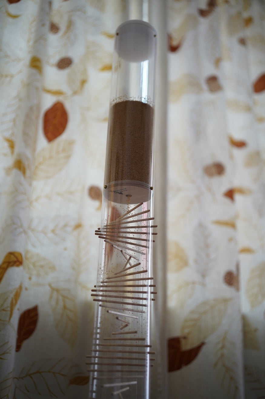 Large Spiral Sounds® Rainstick – Amaranth – Gentle Sound — image 12