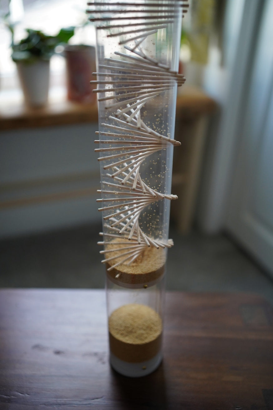 Midway Spiral Sounds® Rainstick – Amaranth – Gentle Sound — image 2