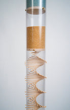 Rendezvous 2 in 1 Rainstick — image 2